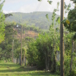view to rainforest mountains