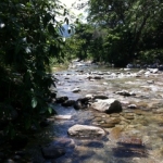 sambo creek river property line