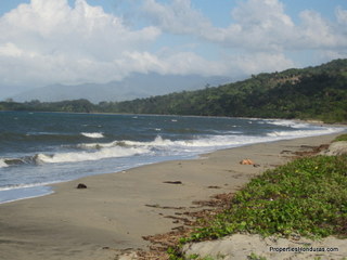 Balfate Beachfront Lot - Honduras Real Estate