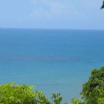 ocean view coral reef