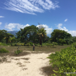 La Ceiba Honduras Beachfront Real Estates