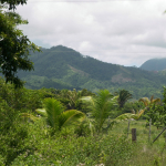National Rainforest Park East La Ceiba Honduras