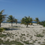 Private, secluded beachfront east La Ceiba