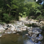 Honduras Real Estate Cangrejal River lodge