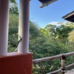 Condo Forest La Ceiba Honduras Real Estate