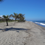 established gated community at La Ceiba Beach Club