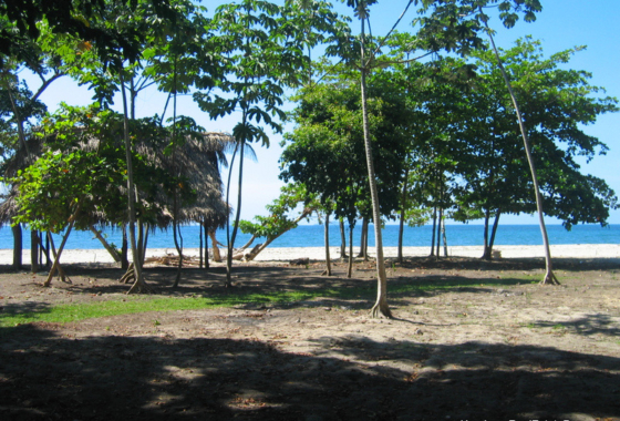 50 kilometers of new beachfront connecting Balfate, La Ceiba and Trujillo