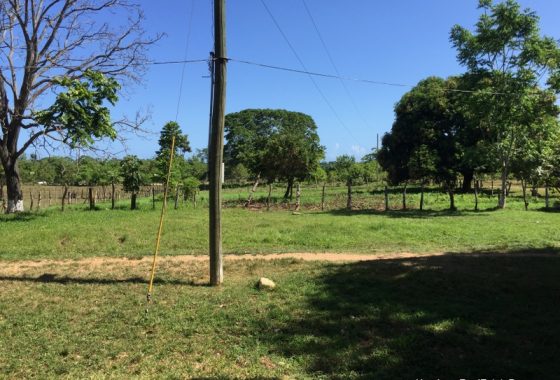 Farm for sale in Honduras