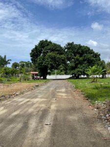 Progress Community Ocean and Mountain La Ceiba