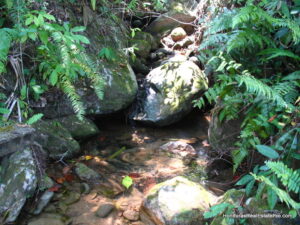 Honduras riverfront land for sale