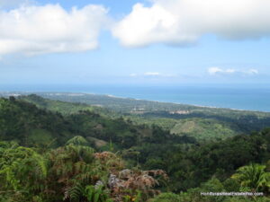 Honduras Farm for sale