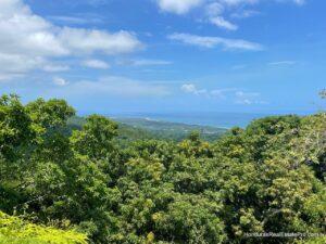 Honduras Land For Sale with views to Roatan
