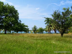 Honduras Real Estate Oceanfront Property