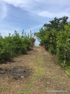Balfate Honduras Real Estate