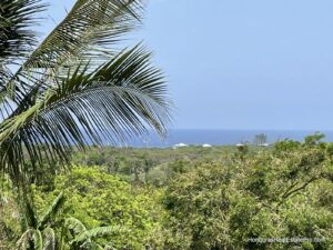 Utila Real Estate
