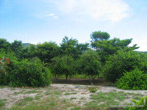North Coast Honduras land