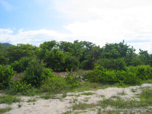 North Coast Honduras land