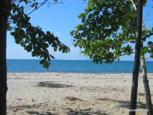 Oceanfront acreage on the Caribbean coast